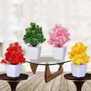 Colorful Plants